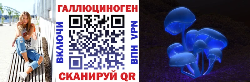 Купить закладки  Железногорск  Галлюциногенные грибы Psilocybe